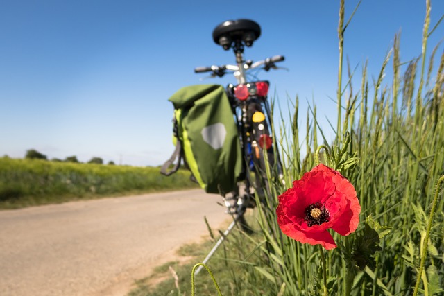 Fahrradnutzung - Radwege